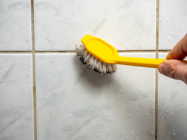  Flint, MI Mold Removal Pros