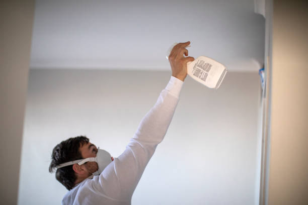 Office Mold Removal Services in Flint, MI
