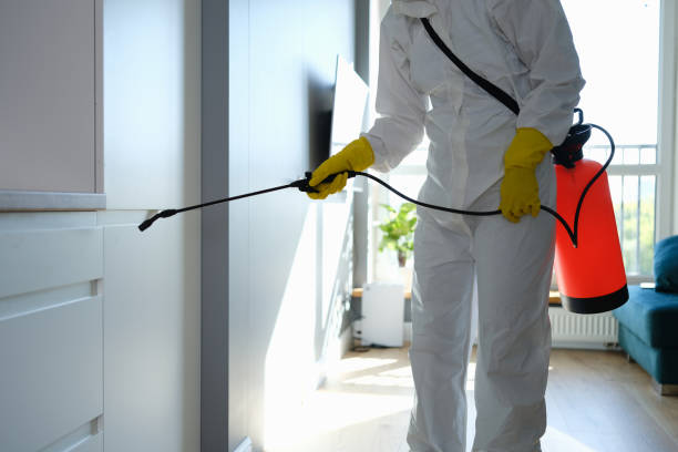 Best Certified Mold Removal  in Flint, MI